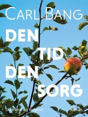 Carl Bang: Den tid den sorg : roman